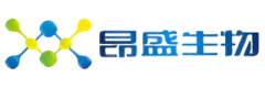 Client 91 logo